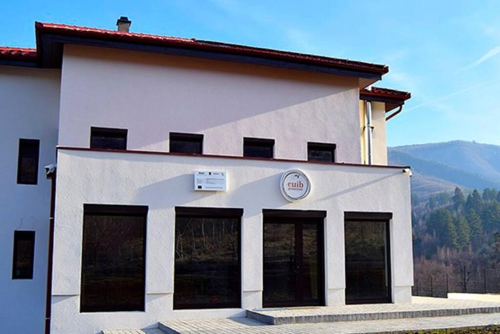 Pensiunea Cuib Michelsberg Exterior foto